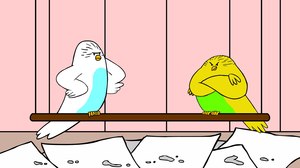 ‘The Parakeets:’ Who Knew Birdwatching Could be so Funny ‘The Parakeets:’ Who Knew Birdwatching Could be so Funny