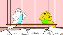 ‘The Parakeets:’ Who Knew Birdwatching Could be so Funny ‘The Parakeets:’ Who Knew Birdwatching Could be so Funny