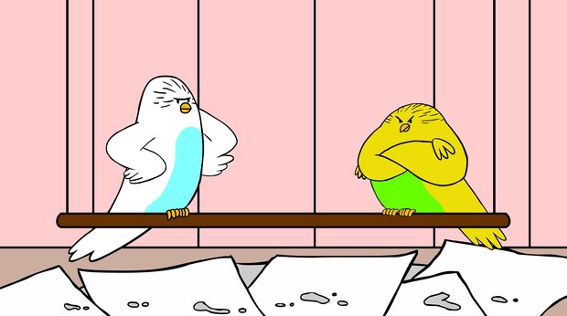 ‘The Parakeets:’ Who Knew Birdwatching Could be so Funny ‘The Parakeets:’ Who Knew Birdwatching Could be so Funny