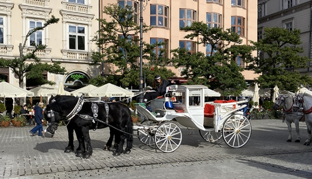 Horse-drawn carriages waiting for passengers
