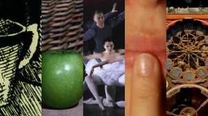 Binocular Briefs – September 2023: A Tribute to Paul Bush