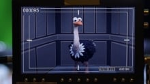 All the World Is a Stop-Motion Animation – Just Ask the Ostrich All the World Is a Stop-Motion Animation – Just Ask the Ostrich